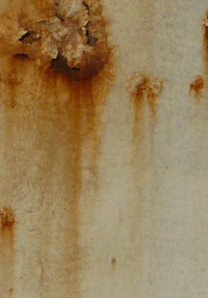 White metal texture covered by many small red spots and patches of rust.